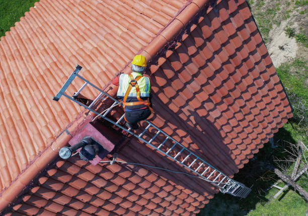 Best Roof Maintenance and Cleaning  in Trevose, PA